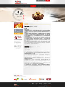 企業(yè)網站設計 構建高效、專業(yè)的在線門戶